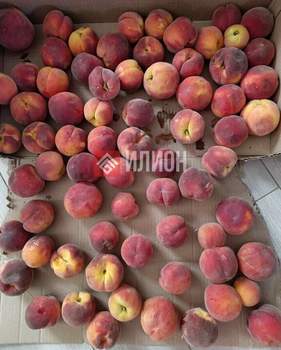 Дом 120м², 2-этажный, участок 8 сот.  