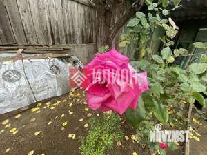 Дом 48м², 1-этажный, участок 3 сот.  