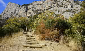 Дом 48м², 1-этажный, участок 7 сот.  