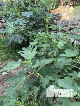 Дом 120м&sup2;, 2-этажный, участок 4 сот.  