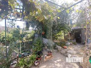 Дом 45м&sup2;, 1-этажный, участок 5 сот.  