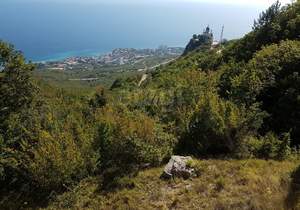 Дом 48м², 1-этажный, участок 7 сот.  