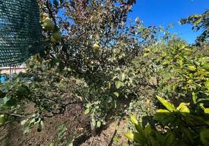 Дом 74м², 2-этажный, участок 9 сот.  