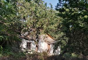 Дом 40м², 1-этажный, участок 9 сот.  