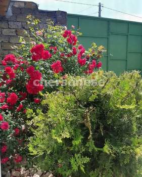 Дом 40м², 2-этажный, участок 4 сот.  