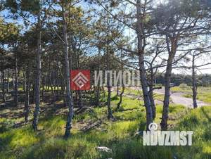 Дом 95м&sup2;, 1-этажный, участок 4 сот.  