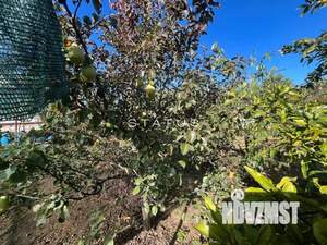 Дом 74м&sup2;, 2-этажный, участок 9 сот.  