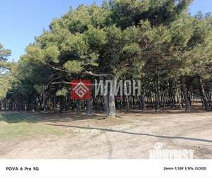 Дом 54м², 1-этажный, участок 4 сот.  