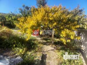 Дом 50м&sup2;, 1-этажный, участок 5 сот.  