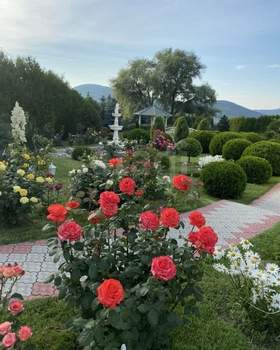 Дом 550м², 3-этажный, участок 70 сот.  