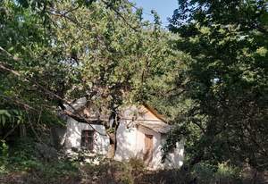 Дом 40м², 1-этажный, участок 9 сот.  