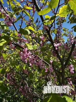 Дом 103м², 1-этажный, участок 5 сот.  