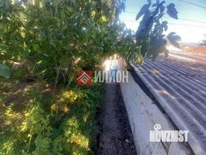 Дом 50м&sup2;, 1-этажный, участок 5 сот.  