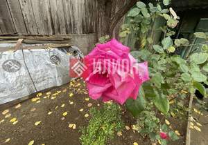 Дом 48м², 1-этажный, участок 3 сот.  