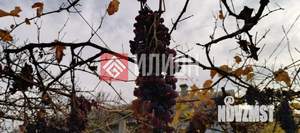 Дом 56м², 1-этажный, участок 4 сот.  