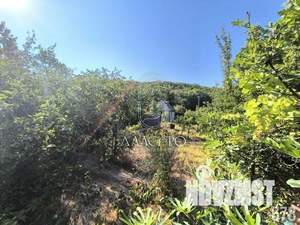 Дом 76м&sup2;, 2-этажный, участок 4 сот.  