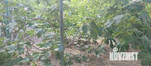 Дом 45м², 2-этажный, участок 7 сот.  