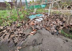 Дом 46м&sup2;, 1-этажный, участок 11 сот.  