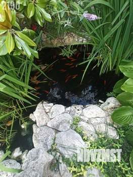 Дом 260м², 3-этажный, участок 4 сот.  