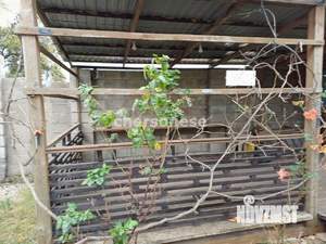 Дом 59м², 1-этажный, участок 8 сот.  