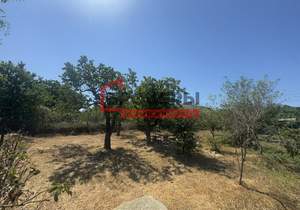 Дом 50м&sup2;, 2-этажный, участок 8 сот.  