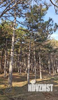 Дом 80м², 1-этажный, участок 4 сот.  