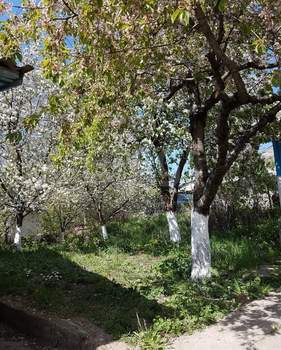 Дом 48м², 1-этажный, участок 7 сот.  