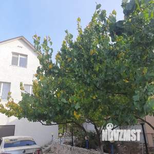 Дом 240м², 2-этажный, участок 5 сот.  