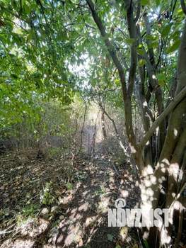 Дача 22м², 1-этажный, участок 4 сот.  