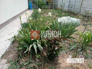 Дом 108м², 1-этажный, участок 4 сот.  