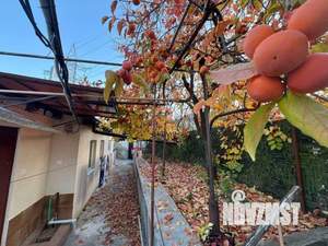 Дом 81м², 1-этажный, участок 4 сот.  