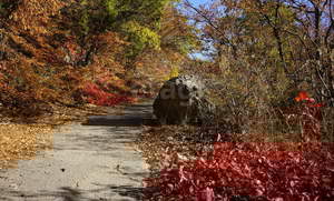 Дом 48м², 1-этажный, участок 7 сот.  