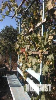 Дача 35м², 1-этажный, участок 6 сот.  