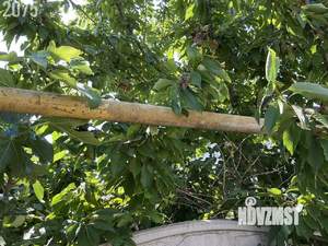 Дача 30м&sup2;, 1-этажный, участок 4 сот.  