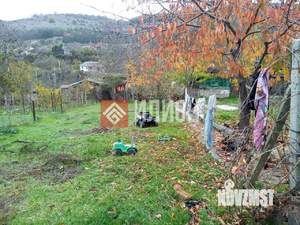 Дом 59м&sup2;, 1-этажный, участок 7 сот.  