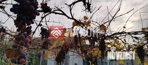 Дом 56м², 1-этажный, участок 4 сот.  