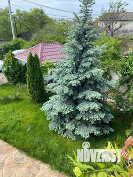 Дом 155м², 2-этажный, участок 4 сот.  