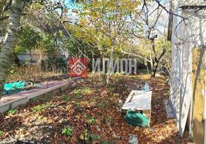 Дом 40м², 1-этажный, участок 7 сот.  