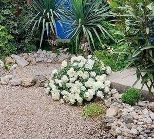 Дом 115м², 2-этажный, участок 5 сот.  