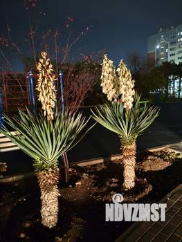 1-к квартира, посуточно, 40м2, 9/10 этаж