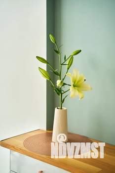 Студия квартира, посуточно, 32м2, 10/10 этаж