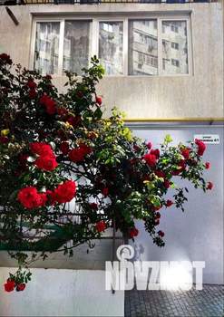 1-к квартира, посуточно, 46м2, 1/10 этаж