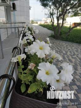 Студия квартира, на длительный срок, 26м2, 1/4 этаж