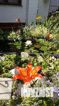 Студия квартира, посуточно, 18м2, 2/2 этаж