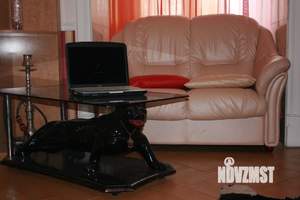 Студия квартира, посуточно, 50м2, 2/3 этаж