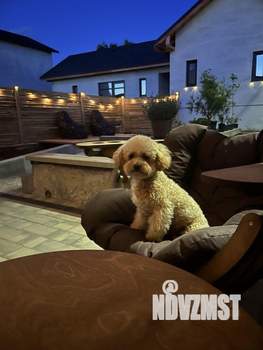 1-к квартира, посуточно, 13м2, 1/1 этаж