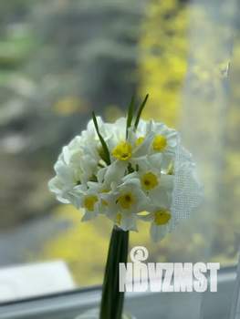 2-к квартира, посуточно, 43м2, 5/5 этаж