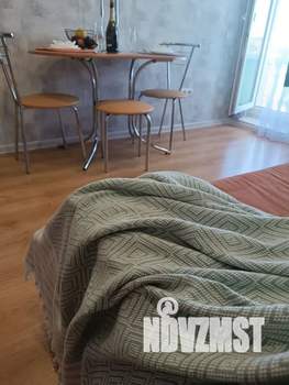 Студия квартира, посуточно, 17м2, 3/3 этаж