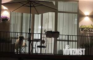 Студия квартира, посуточно, 25м2, 2/2 этаж