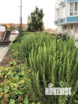 1-к квартира, посуточно, 37м2, 3/4 этаж